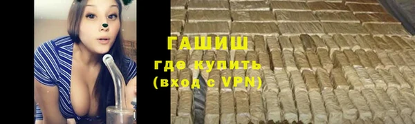 прущие грибы Богданович